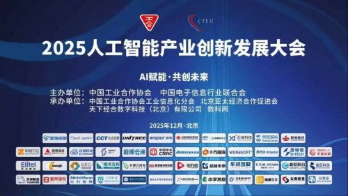 喜訊！極聯(lián)股份榮獲“2025年度軟件和信息技術服務業(yè)標桿企業(yè)”稱號
