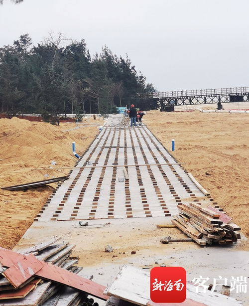 原創(chuàng)組圖 ?？谖骱０敦炌ǜ鹿こ套钚逻M展 國際會展中心附近沿海新建路完成瀝青路面鋪設